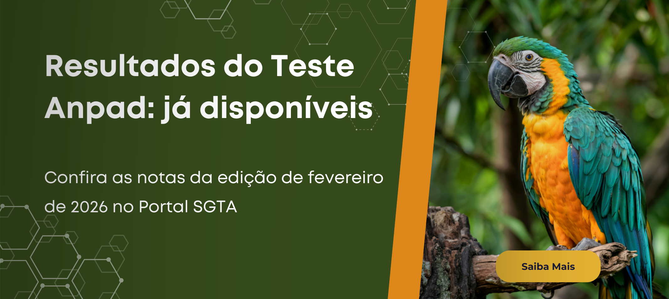 Teste Anpad