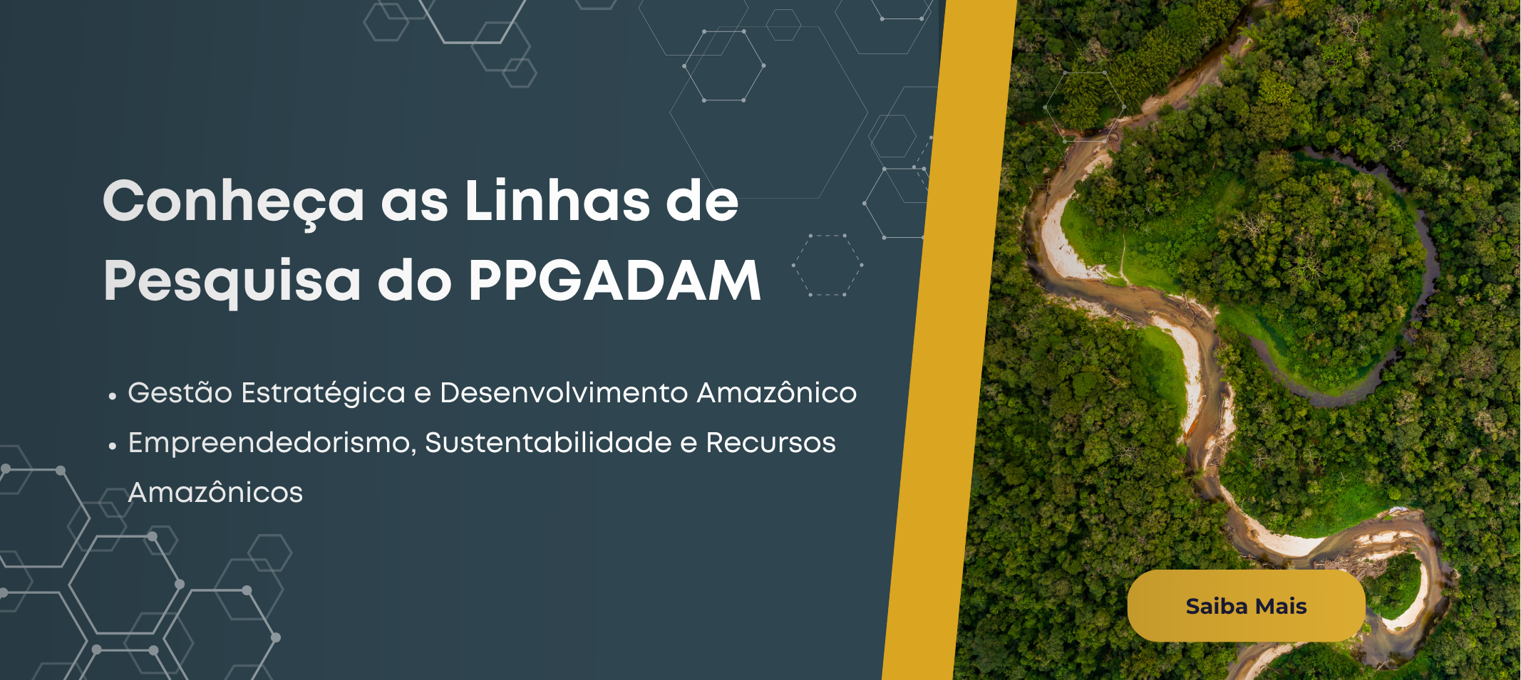 Linhas de Pesquisa do PPGADAM